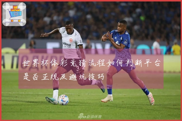 世界杯体彩竞猜流程如何判断平台是否正规及避坑技巧