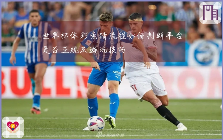 世界杯体彩竞猜流程如何判断平台是否正规及避坑技巧