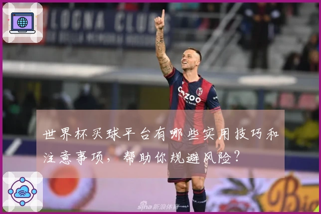 世界杯买球平台有哪些实用技巧和注意事项，帮助你规避风险？